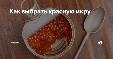 Как выбрать красную икру | OPENEW | Дзен