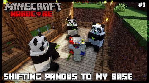 Shifting Cute Panda To My Base Minecraft Hardcore 3 The Devil Boy