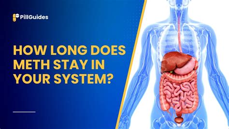 long  meth stay   system  complete guide