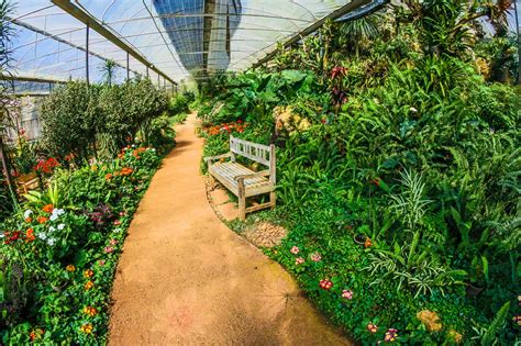 Greenhouse Garden · Free Stock Photo