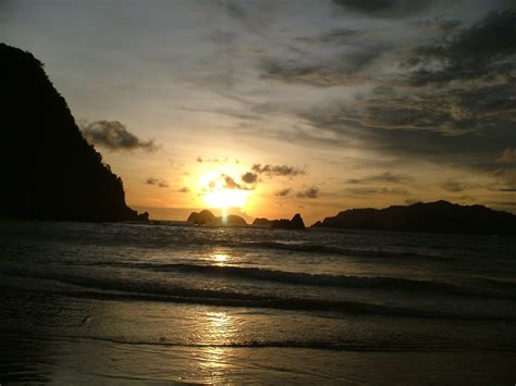 flowers  dreams pulau merah