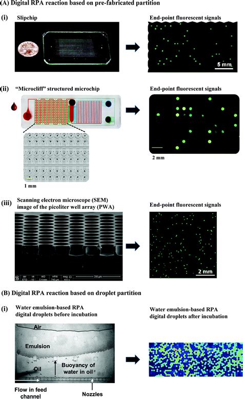 Review: a comprehensive summary of a decade development of the ...