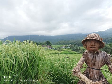 70% of Environmental Journalists have been attacked for their Work