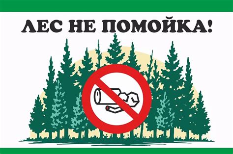Картинки не мусорите в парке (68 фото)