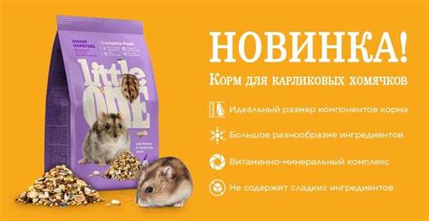Рейтинг лучших кормов для хомяков (джунгарских и сирийских)