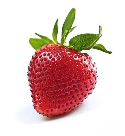 Strawberry on white background Photograph by Elena Elisseeva - Pixels