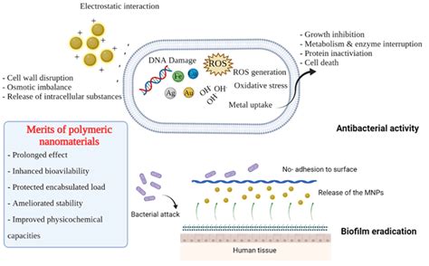 Schematic Diagram Of Antibacterial And Antibiofilm Mechanisms Of