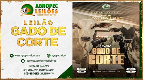 Agropecleiloes Leil O Especial Gado De Corte Martelo De Ouro