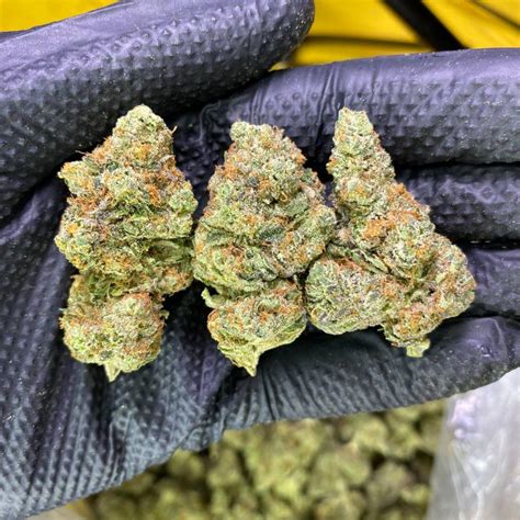 Oreoz Weed Strain Indulge In The Delicious Cookie Butter Flavor
