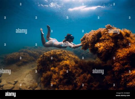 Unterwasser Bikini M Dchen Taucher Stockfotos Und Bilder Kaufen Alamy