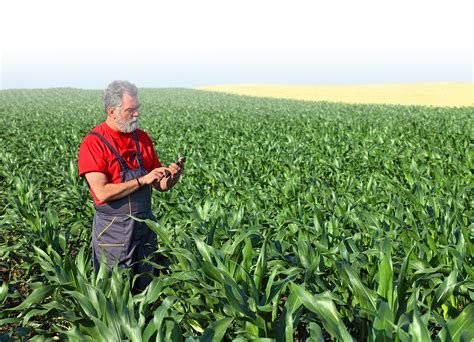 Жидкие минеральные удобрения. Купить жидкие удобрения для сельского ...