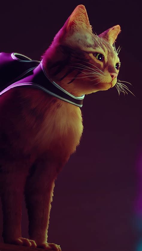 Stray Cat Game Wallpaper 4k HD ID:11202