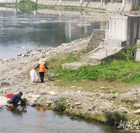 桑植县陈家河镇开展爱国卫生运动，建设美丽整洁家园 张家界 新湖南