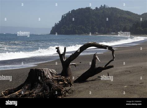 Clallam Bay Olympic Peninsula Stock Photo Alamy