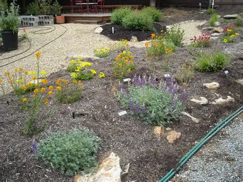 Building a BERM Garden | Native Plant Nursery | Novato