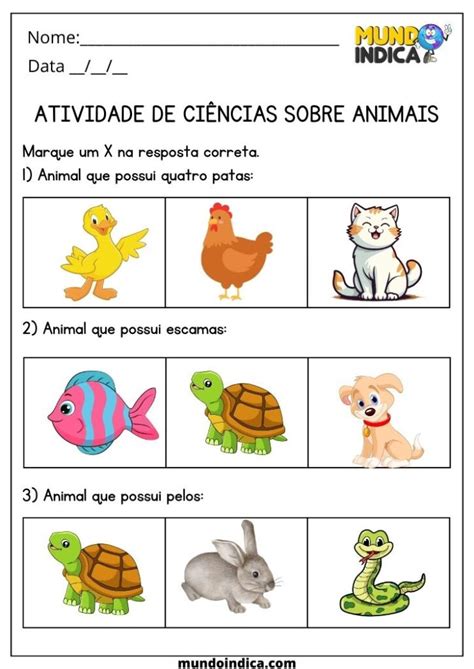 Ciencias 1 Ano Fundamental - 20 Atividades de Ciências 1 Ano Fundamental para Imprimir
