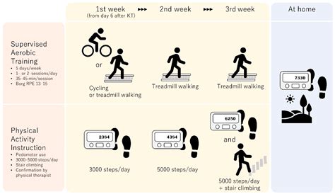 Renal Rehabilitation—Its Theory and Clinical Application to Patients