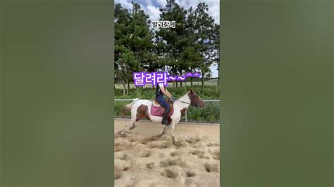 바람을 가르지르면 달린다~~ 승마체험 제주도 제주도여행 외승 외승동호회 승마교관 감사합니다 브리더스파크