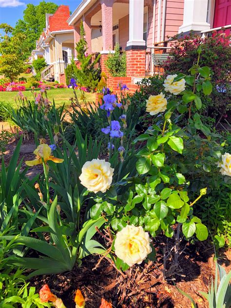 New york floral park gardens are blooming with rare species now 2
