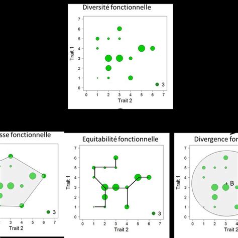 Interpr Tation Sch Matique De La Diversit Fonctionnelle Travers