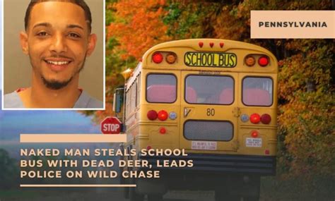 Pennsylvania Naked Man Steals School Bus With Dead Deer Leads Police On Wild Chase Southwest