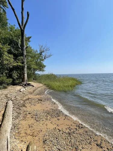 2023 Best Walking Trails In Fort Howard Alltrails