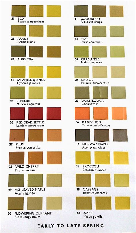 Bee Pollen Color Chart A Visual Reference Of Charts Chart Master