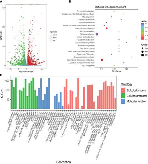 Frontiers Integrative Analysis Of Metabolome And Transcriptome