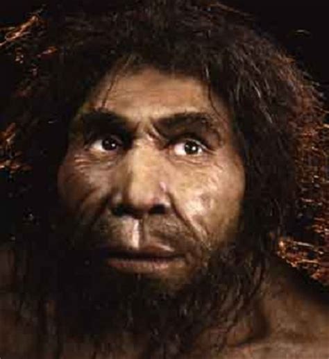 Homo georgicus - Homem da Georgia - Atlas Virtual da Pré-História