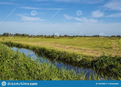 Typical Dutch Polder Landscape Near Zaandam Nord Holland Stock Image