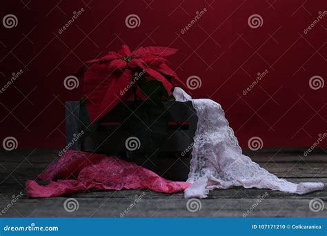 White Lace Panties Stock Photo Image Of Slips Bikini 107171210