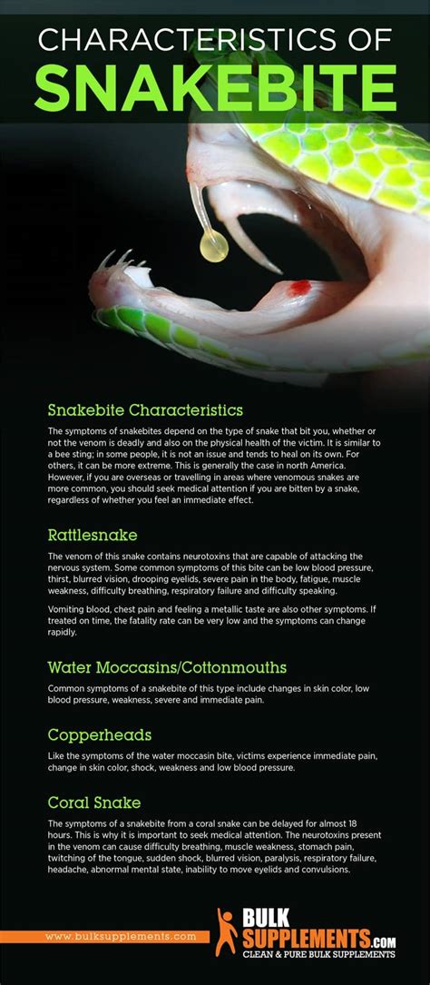 Snakebite: Characteristics, Causes & Treatment