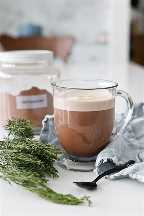 Yummy Healthy Hot Chocolate Mix Recipe NO ADDED SUGAR Tidbits