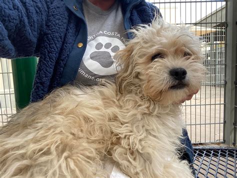 Fostering Love, Finding Age: The Minimum Requirements