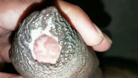 Free Creamy Dick Gay Porn Videos XHamster