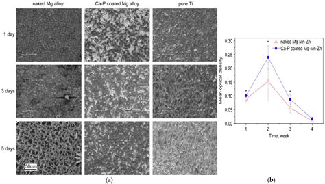 Biodegradable coatings will soon enhance the corrugated cardboard box 5