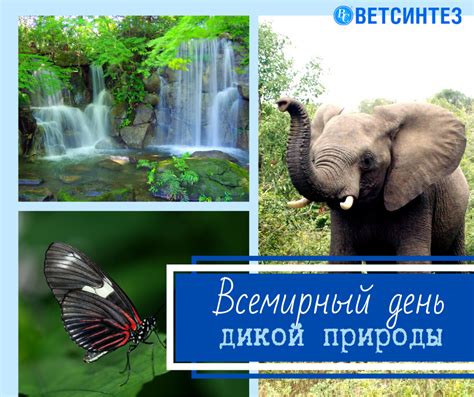Всемирный день дикой природы