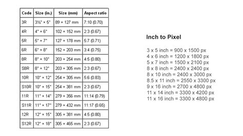 detail ukuran foto   mm koleksi nomer