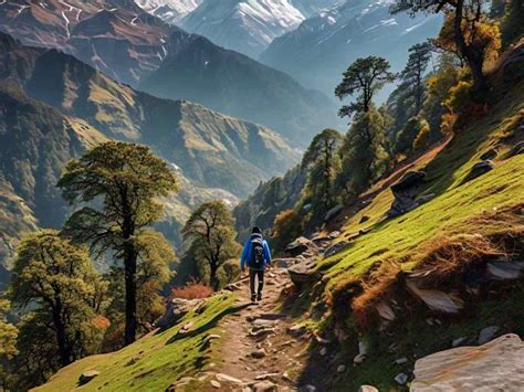 trail  tranquility nature treks  stunning views  map