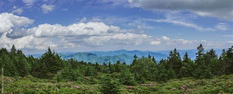 roan mountain overlook stock photo adobe stock