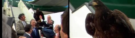 Best F C Eagle Images On Pholder Nature Is Fucking Lit Warplane Porn And Military Porn