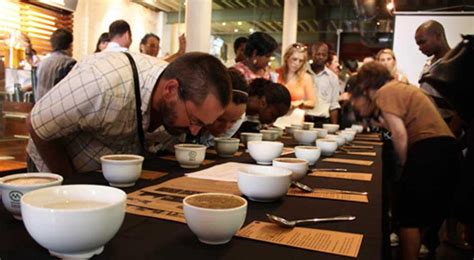 A Coffee Cupping Glossary - Brewminate: A Bold Blend of News and Ideas