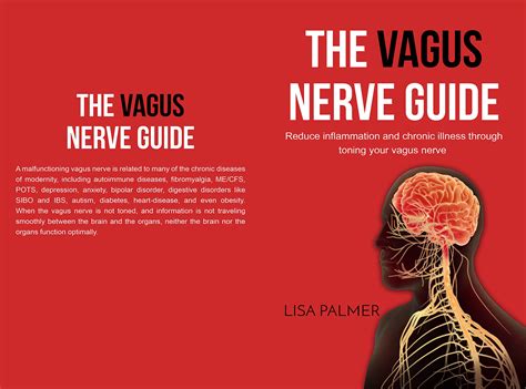 Buy The Vagus Nerve Guide: Reduce Inflammation and Chronic Illness