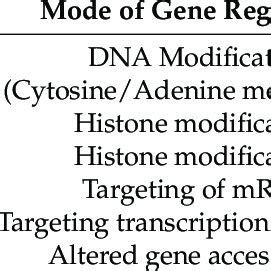 The key epigenetic modifications in MSC and their modes of gene ...