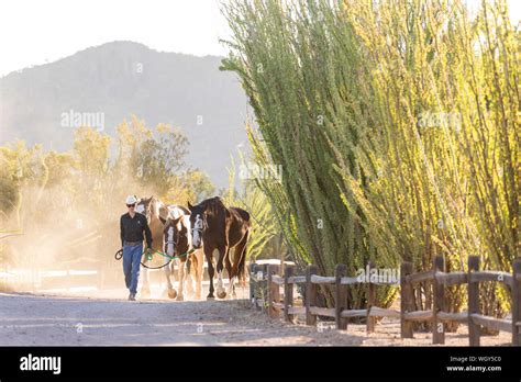 White Stallion Ranch, Tucson, Arizona Stock Photo - Alamy