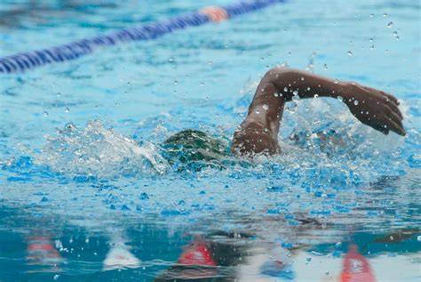 Swimming Images Photos, Download The BEST Free Swimming Images Stock