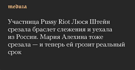 Участница Pussy Riot Люся Штейн срезала браслет слежения и уехала из России Мария Алехина тоже