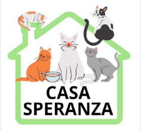 Catania Il Rifugio Di Cani E Gatti Casa Speranza Chiede Aiuto Per