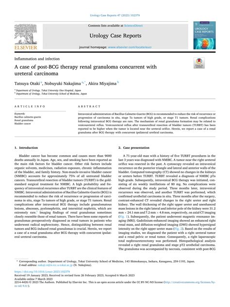 Pdf A Case Of Post Bcg Therapy Renal Granuloma Concurrent With Ureteral Carcinoma