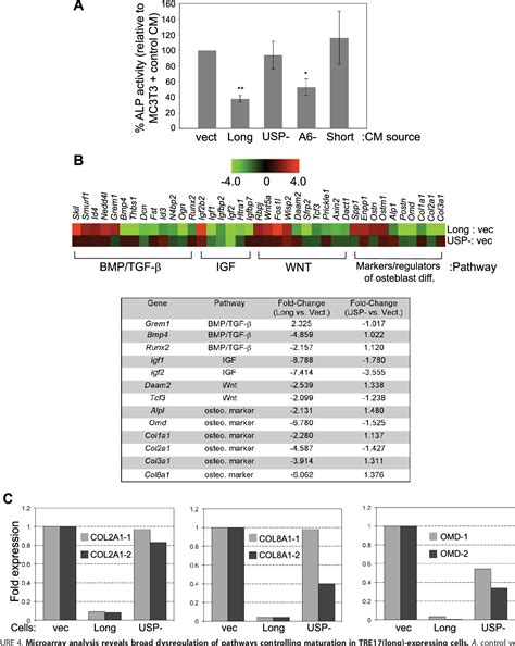 Figure 4 From TRE17 Ubiquitin Specific Protease 6 USP6 Oncogene